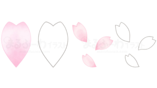 水彩風と線画のかわいい無料フリー素材　桜の花びらのイラスト