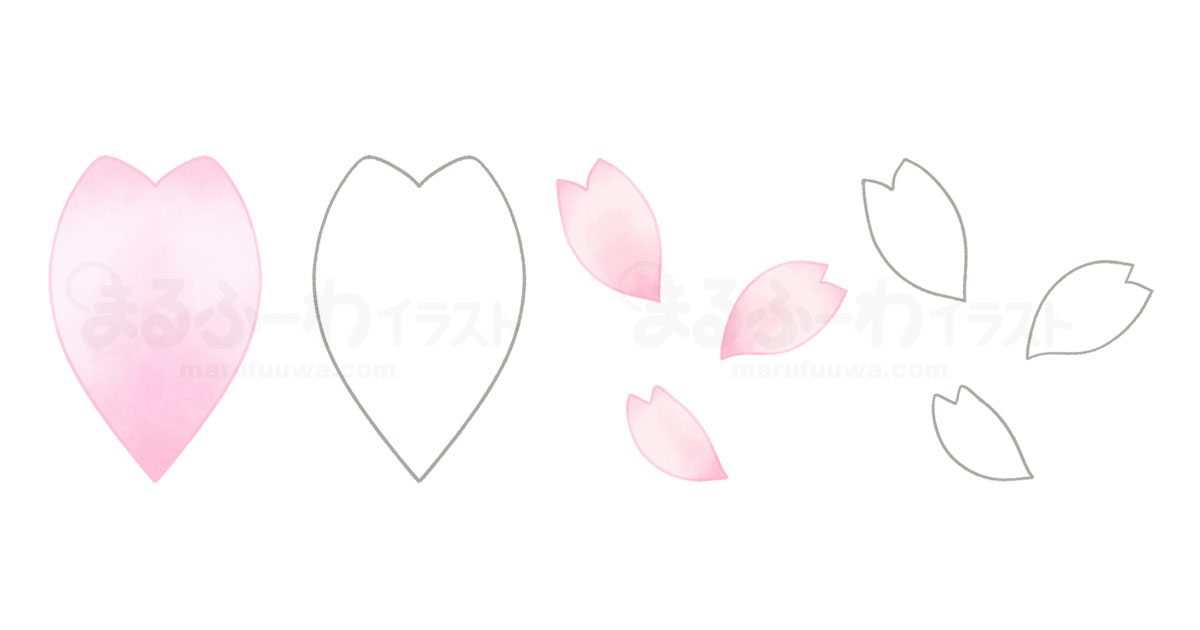 水彩風と線画のかわいい無料フリー素材　桜の花びらのイラスト