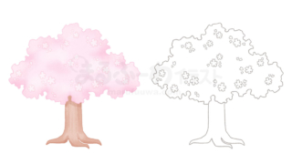 水彩風と線画のかわいい無料フリー素材　桜の木のイラスト