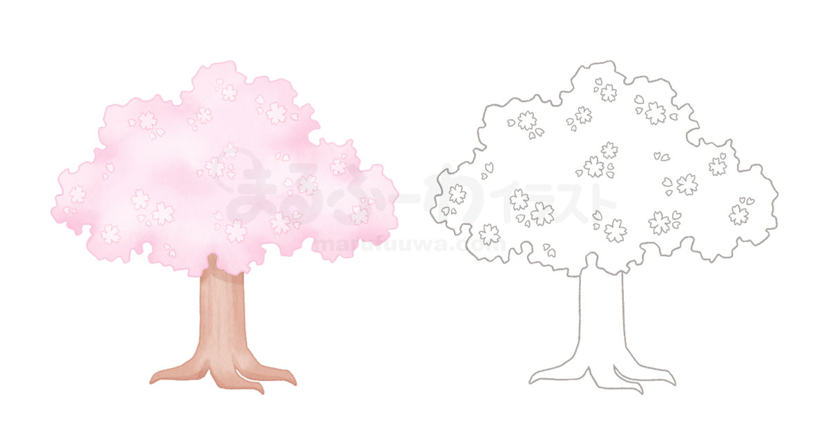 水彩風と線画のかわいい無料フリー素材　桜の木のイラスト