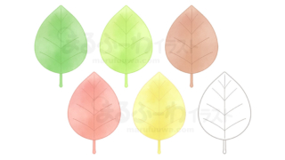 水彩風と線画のかわいい無料フリー素材　葉っぱのイラスト