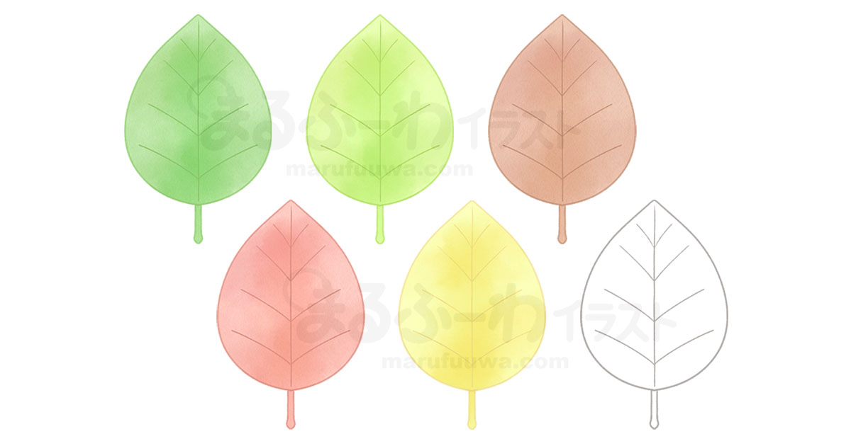 水彩風と線画のかわいい無料フリー素材　葉っぱのイラスト
