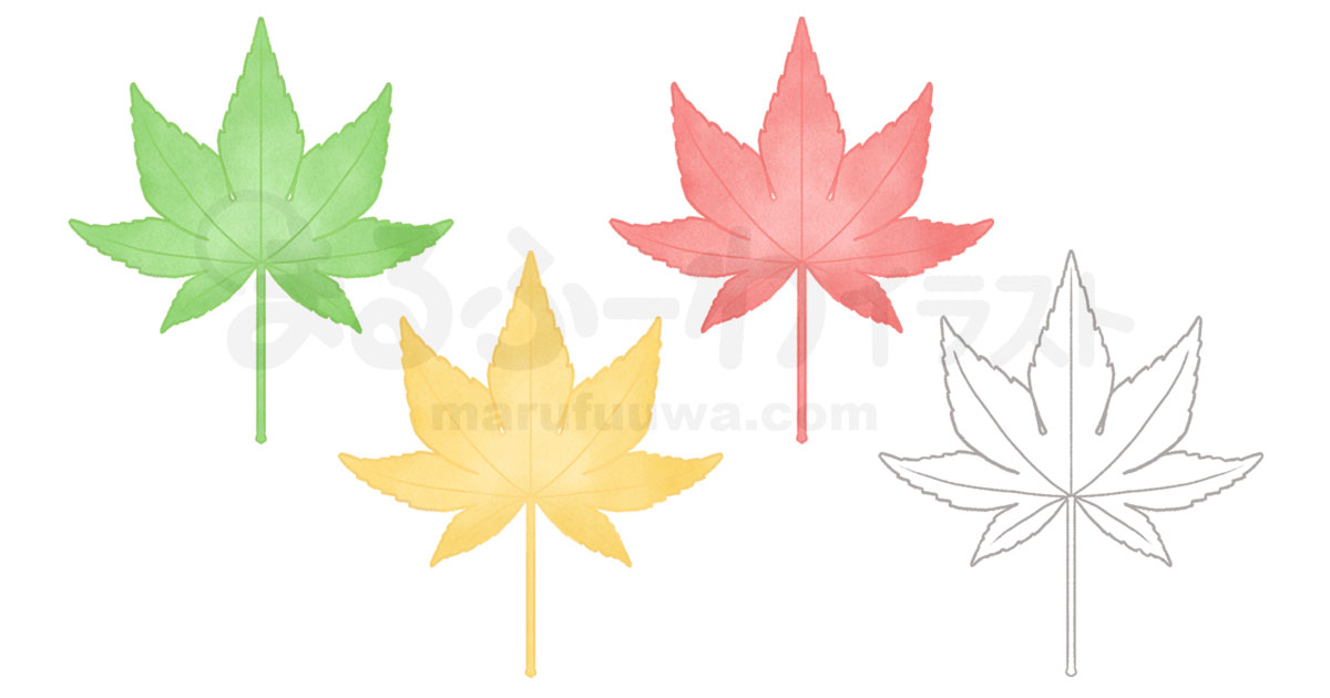 水彩風と線画のかわいい無料フリー素材　もみじの葉っぱのイラスト