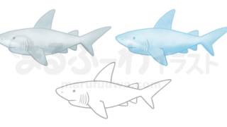水彩風と線画のかわいい無料フリー素材　サメのイラスト