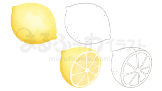 水彩風と線画のかわいい無料フリー素材　レモンのイラスト