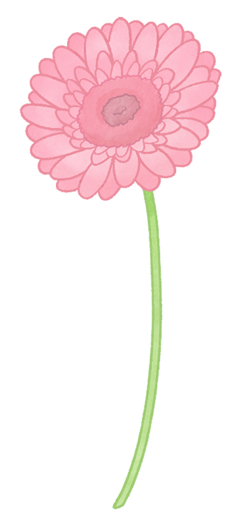 Cute African Daisy Gerbera Illustration On Transparent Background 5 Color Variations And Line Art かわいい無料素材 まるふーわイラスト