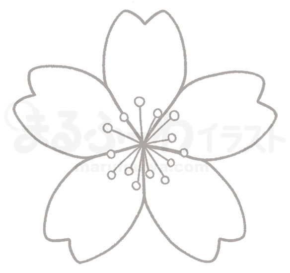白黒の線画　無料フリー素材　桜の花のイラスト　サンプル