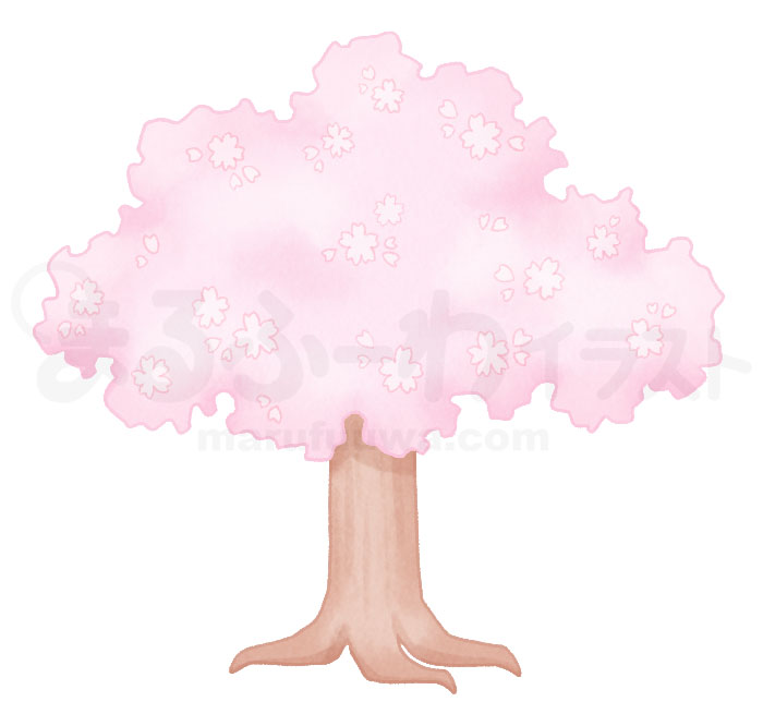 水彩風　無料フリー素材　桜の木のイラスト　サンプル