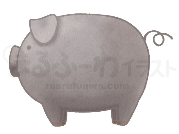 水彩風の無料フリー素材　黒い豚のイラスト　サンプル