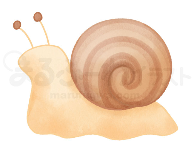 Watercolor style free illustration of a brown snail - sample