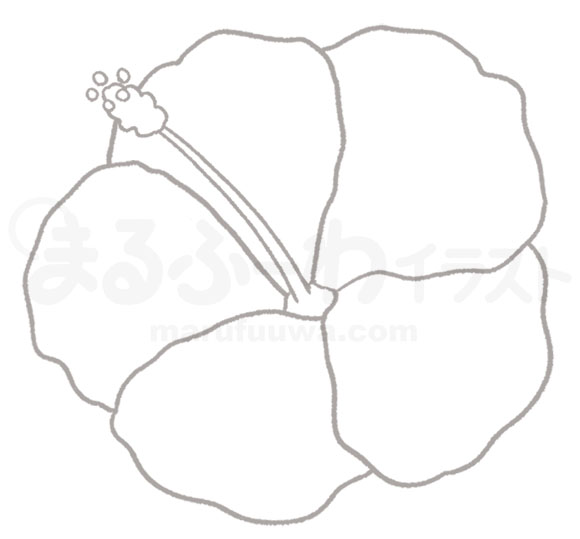 Black and white Line art free illustration of a hibiscus - sample