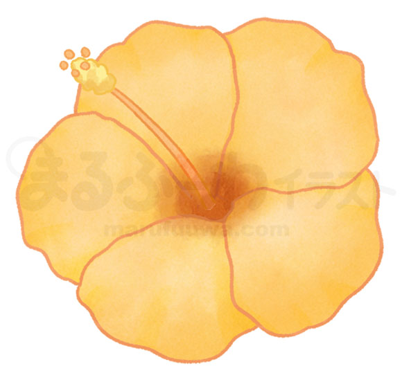Watercolor style free illustration of a yellow hibiscus - sample