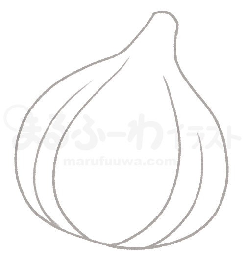 Black and white Line art free illustration of an onion - sample