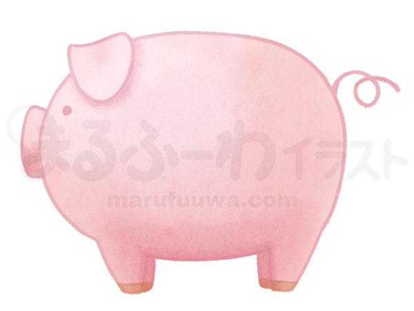 水彩風の無料フリー素材　ピンクの豚のイラスト　サンプル
