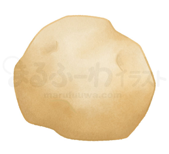 Watercolor style free illustration of a round potato - sample