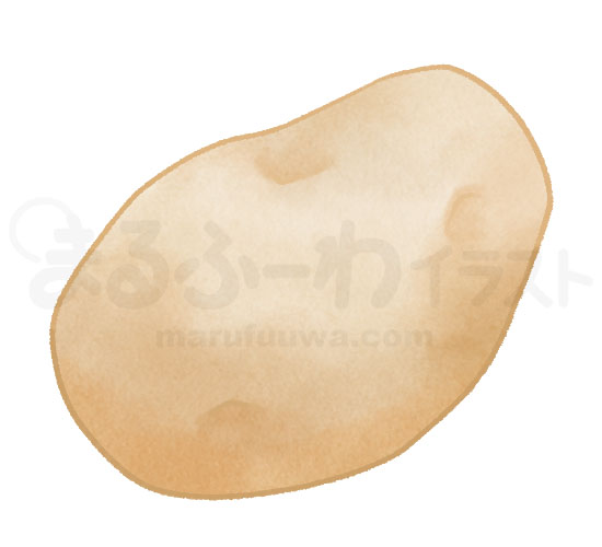 Watercolor style free illustration of a long potato - sample