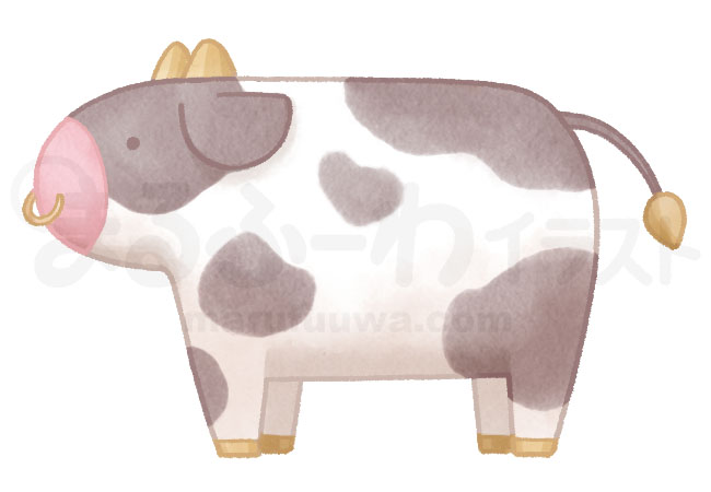Watercolor style free illustration of a black and white spotted cattle - sample