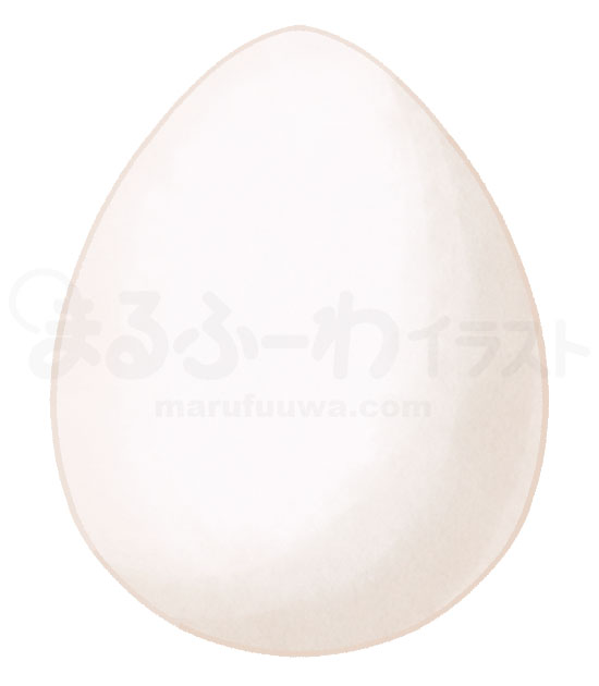 水彩風の無料フリー素材　白い卵のイラスト　サンプル