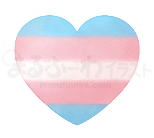 Watercolor style free illustration of a heart symbol in the colors of the transgender flag - sample