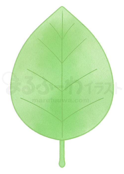 水彩風の無料フリー素材　緑の葉っぱのイラスト　サンプル