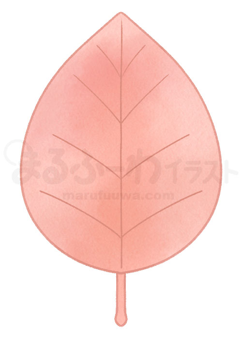 水彩風の無料フリー素材　赤い葉っぱのイラスト　サンプル
