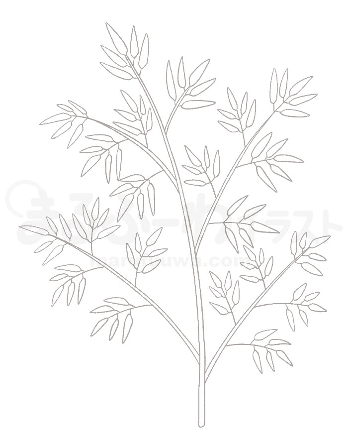 白黒線画の無料フリー素材のサンプル　笹のイラスト