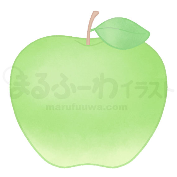 水彩風無料フリー素材のサンプル　葉っぱのついた青りんごのイラスト