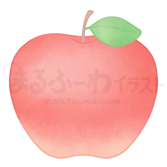 水彩風無料フリー素材のサンプル　葉っぱのついた赤いりんごのイラスト
