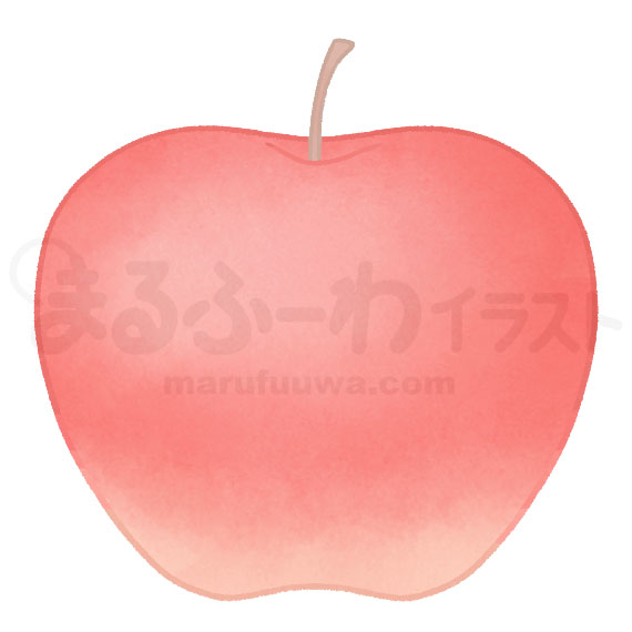 水彩風無料フリー素材のサンプル　赤いりんごのイラスト