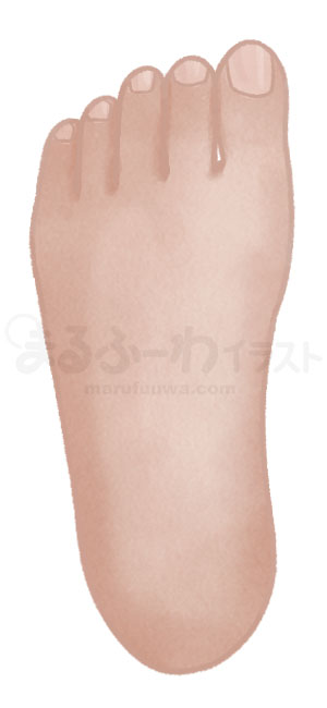 水彩風無料フリー素材のサンプル　黒い肌の左足の甲のイラスト