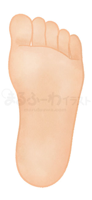 水彩風無料フリー素材のサンプル　褐色の肌の左足の裏のイラスト