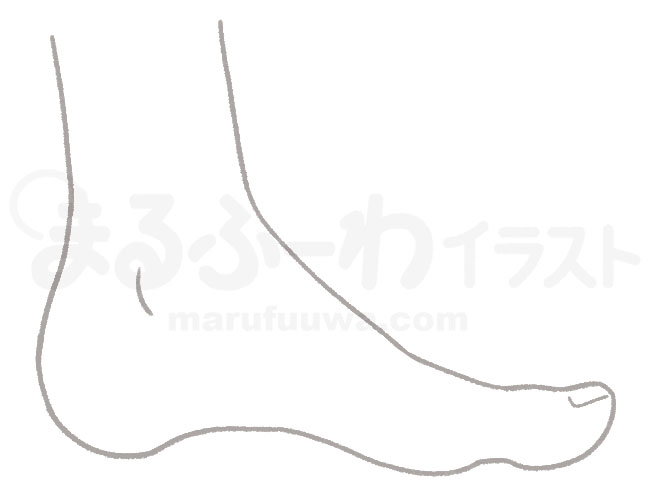 白黒線画の無料フリー素材のサンプル　横から見た左足の内側のイラスト