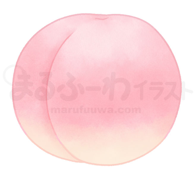 水彩風無料フリー素材のサンプル　ピンクの桃のイラスト
