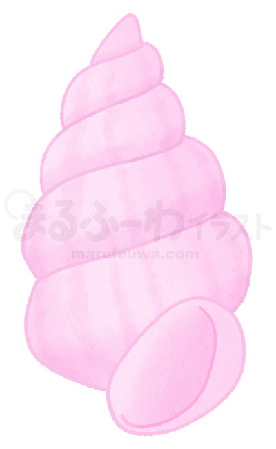 水彩風無料フリー素材のサンプル　ピンクの巻貝の貝殻のイラスト