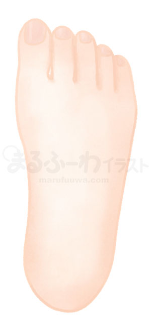 水彩風無料フリー素材のサンプル　白い肌の右足の甲のイラスト