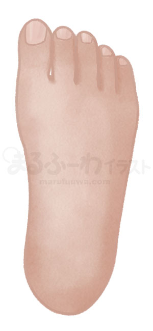 水彩風無料フリー素材のサンプル　黒い肌の右足の甲のイラスト