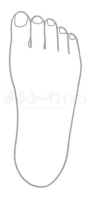 白黒線画の無料フリー素材のサンプル　右足の甲のイラスト