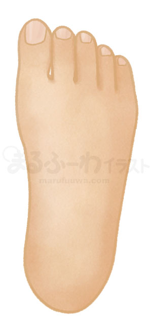 水彩風無料フリー素材のサンプル　褐色の肌の右足の甲のイラスト