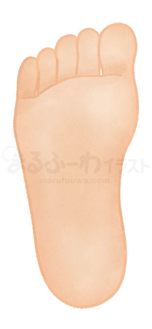 水彩風無料フリー素材のサンプル　褐色の肌の右足の裏のイラスト