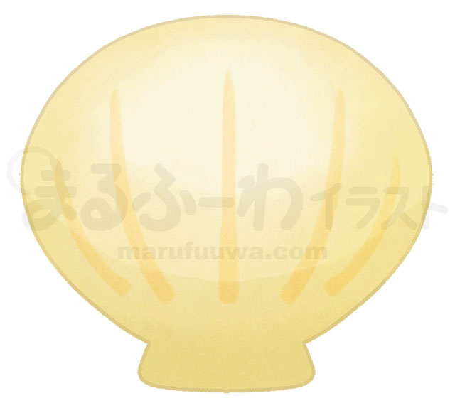 水彩風無料フリー素材のサンプル　黄色い二枚貝の貝殻のイラスト