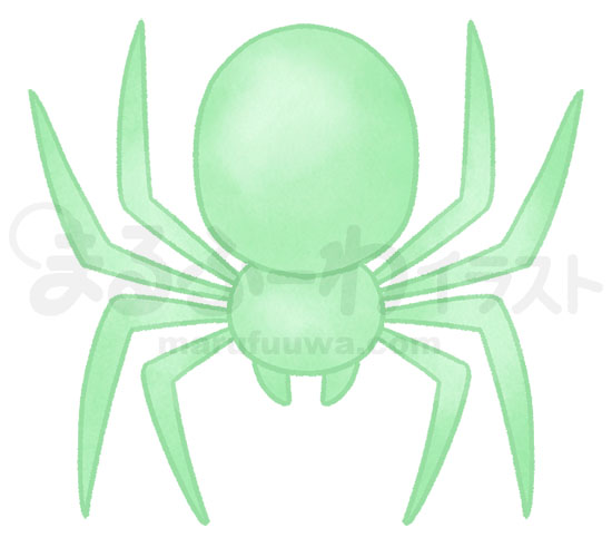 水彩風無料フリー素材のサンプル　シンプルな緑の蜘蛛のイラスト