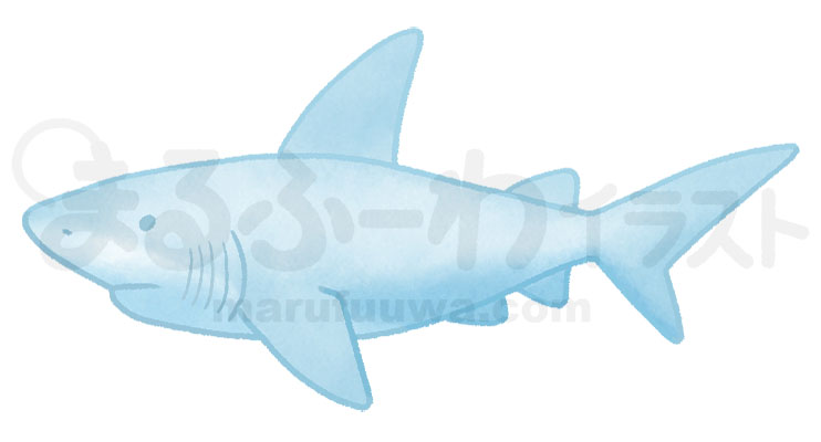 水彩風無料フリー素材のサンプル　水色のサメのイラスト