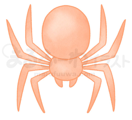 水彩風無料フリー素材のサンプル　シンプルなオレンジの蜘蛛のイラスト