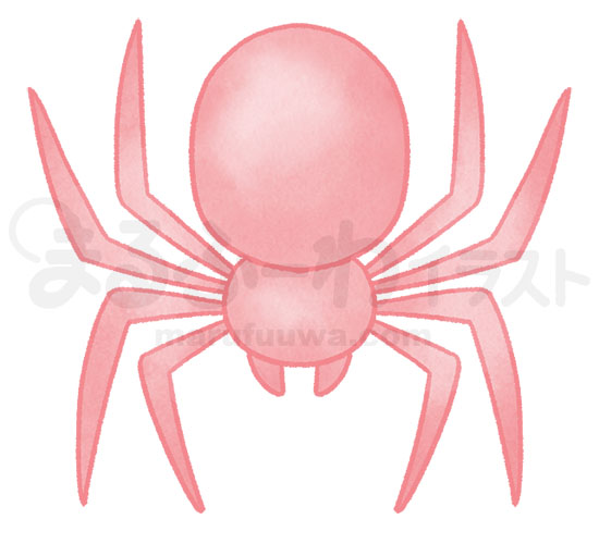 水彩風無料フリー素材のサンプル　シンプルな赤い蜘蛛のイラスト