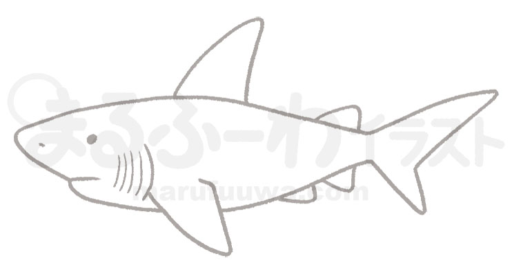 白黒線画の無料フリー素材のサンプル　サメのイラスト