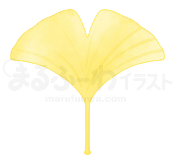 水彩風無料フリー素材のサンプル　切れ込みが１つある黄色のイチョウの葉っぱのイラスト