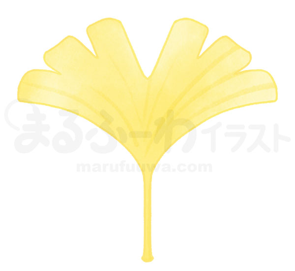 水彩風無料フリー素材のサンプル　切れ込みが５つある黄色のイチョウの葉っぱのイラスト