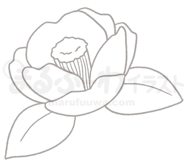 白黒線画の無料フリー素材のサンプル　椿の花のイラスト