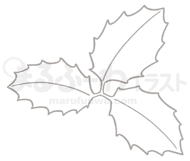 白黒線画の無料フリー素材のサンプル　セイヨウヒイラギの葉っぱのイラスト
