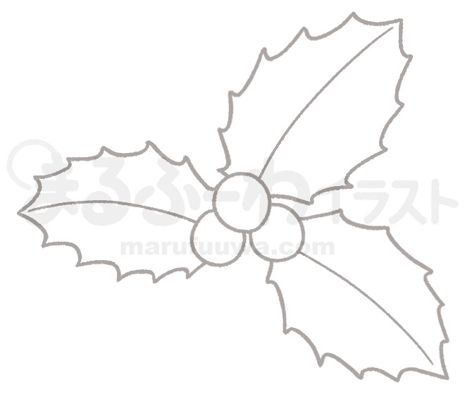 白黒線画の無料フリー素材のサンプル　セイヨウヒイラギの実と葉っぱのイラスト